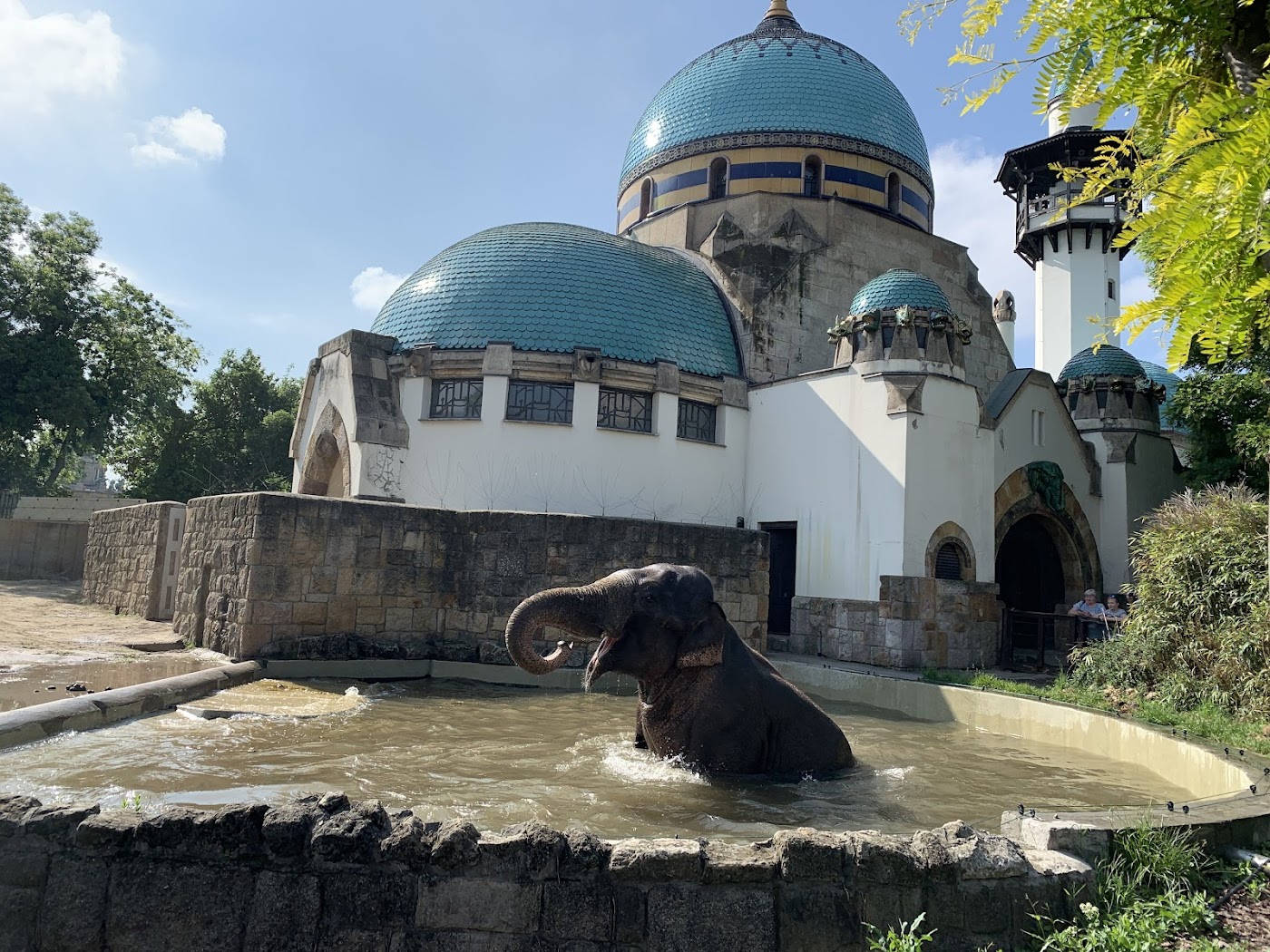 Hangulatkép a budapesti állatkert területéről
